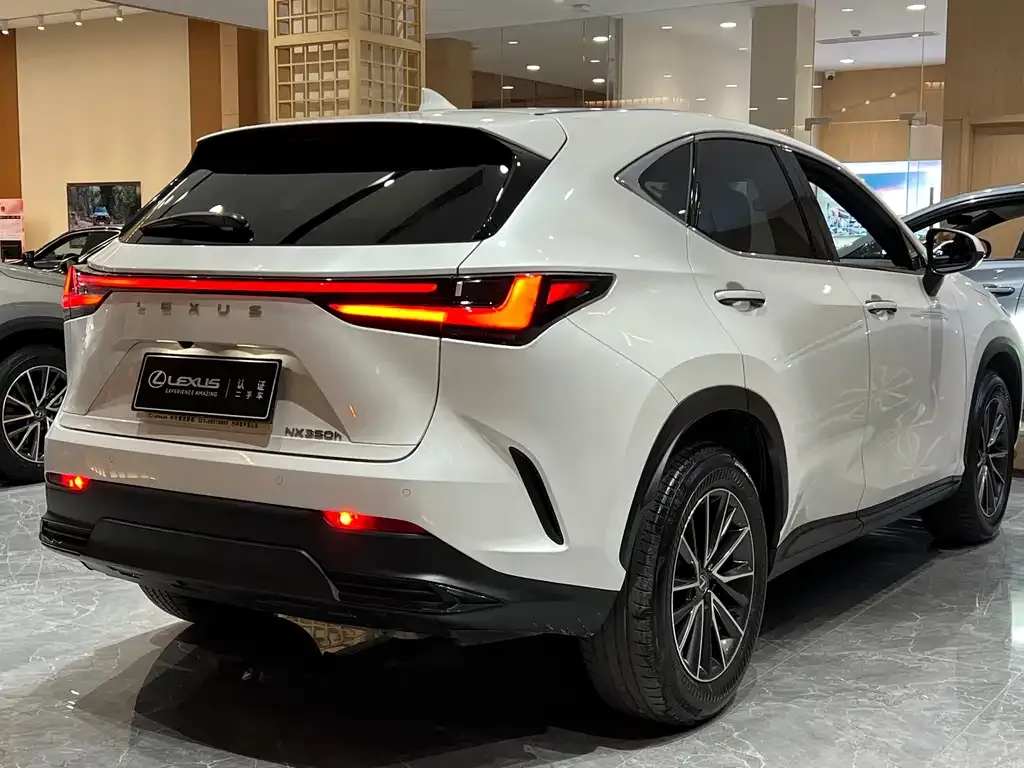 Lexus NX 2023 из CN, фото 6