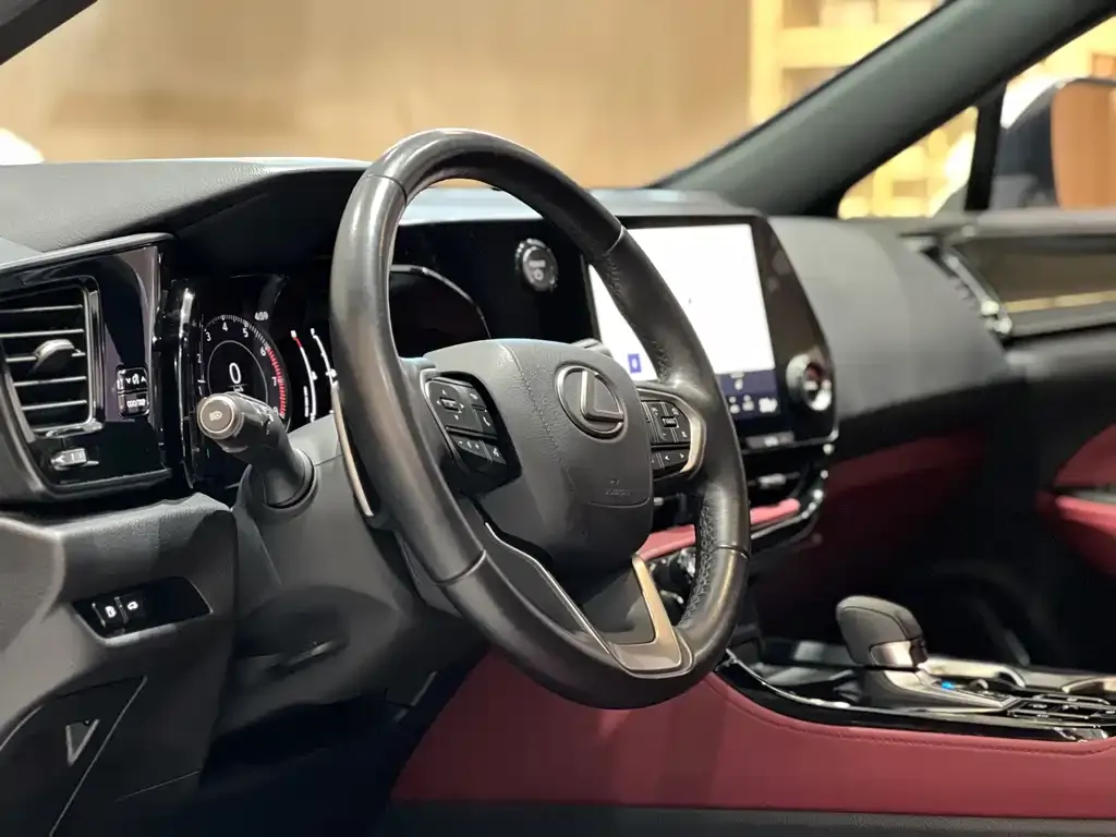 Lexus NX 2023 из CN, фото 9