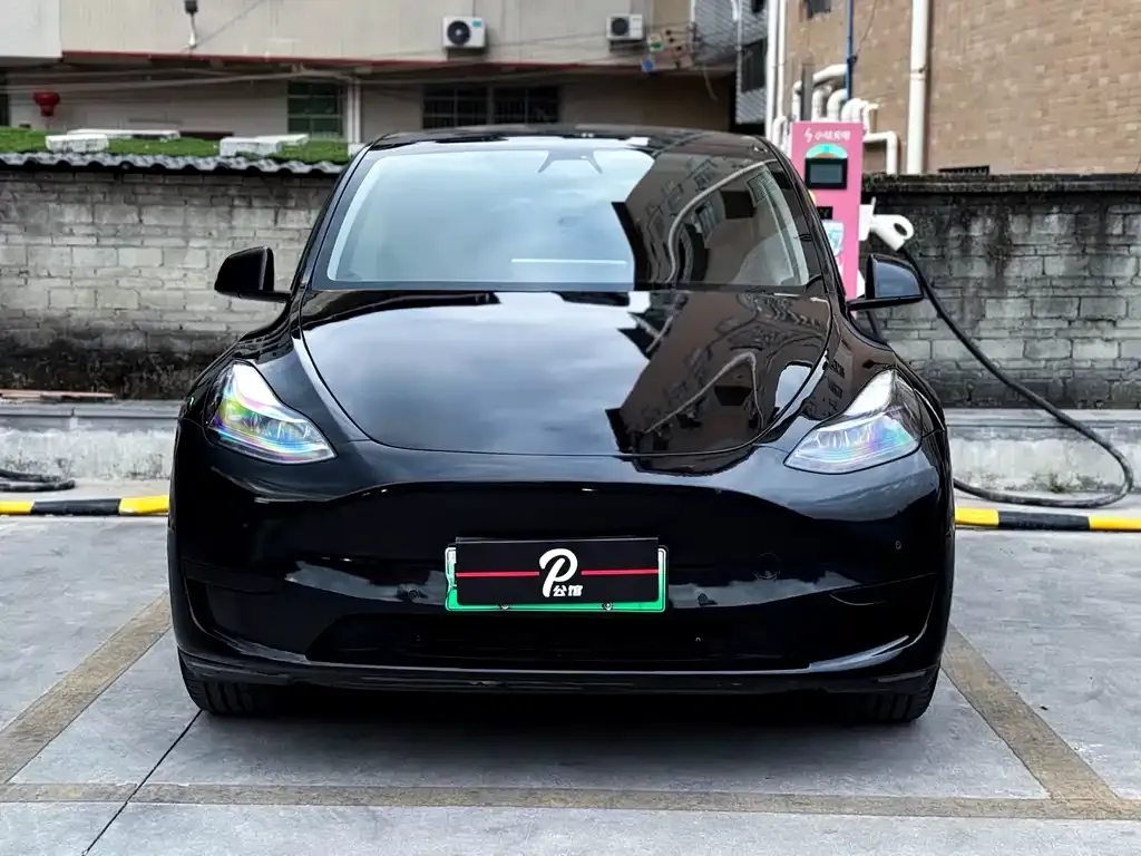 Tesla Model Y — фото 2