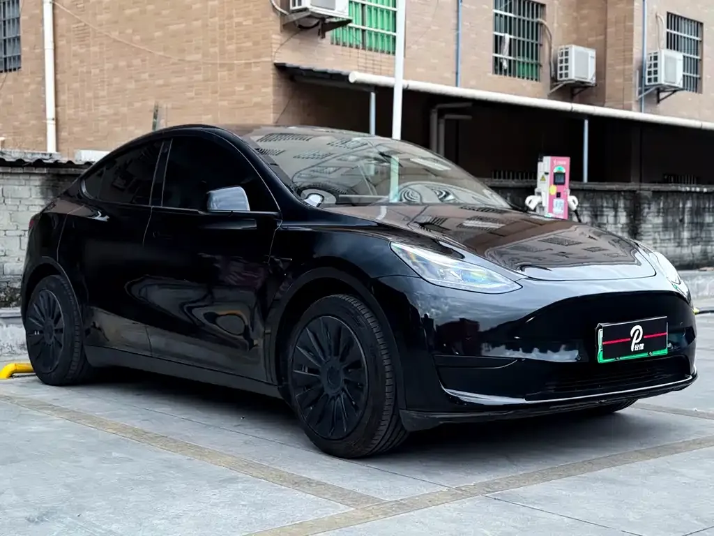 Tesla Model Y — фото 3