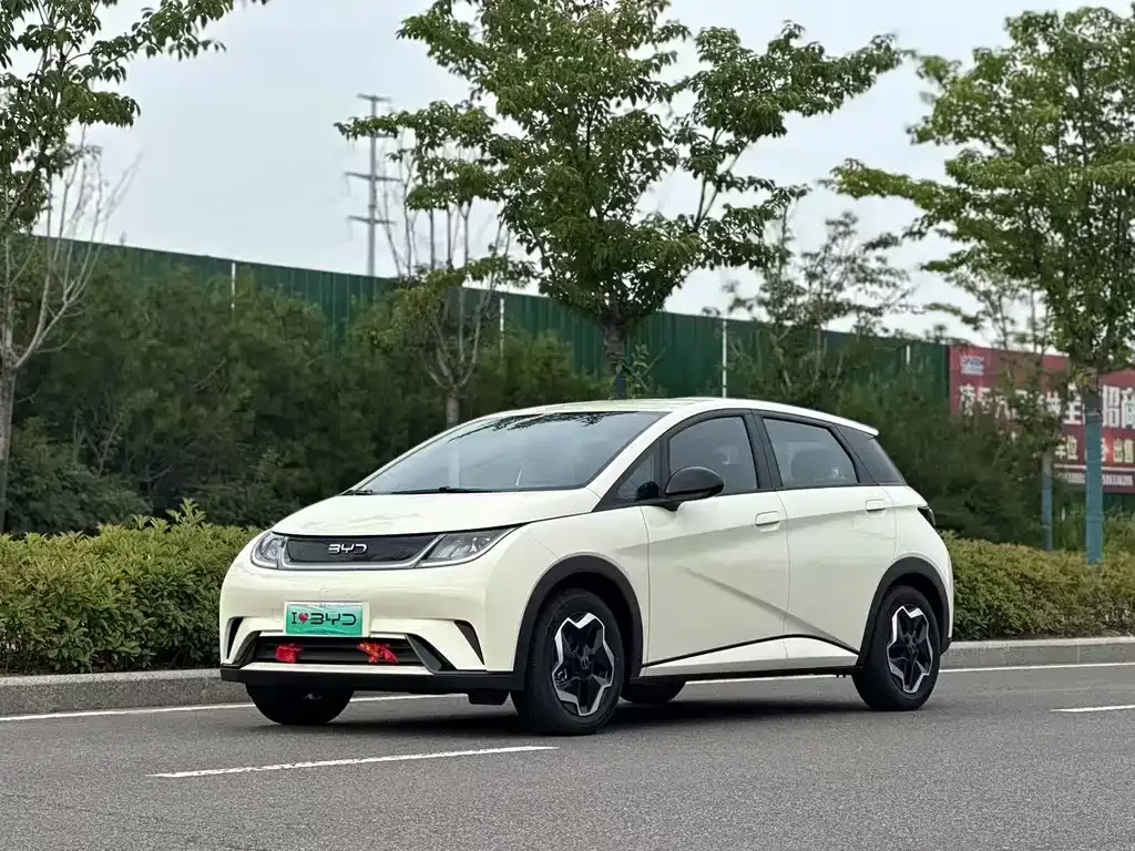 BYD Dolphin 2025 из CN, фото 1