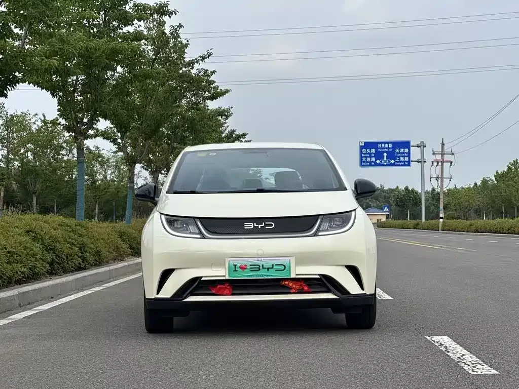 BYD Dolphin 2025 из CN, фото 2