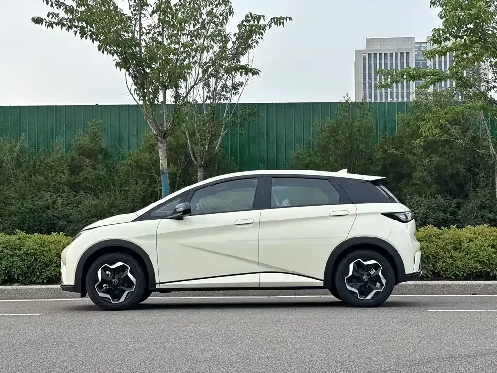 BYD Dolphin 2025 из CN, фото 3