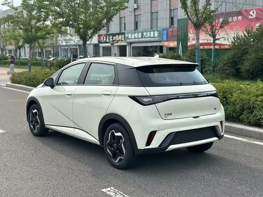 BYD Dolphin 2025 из CN, фото 7