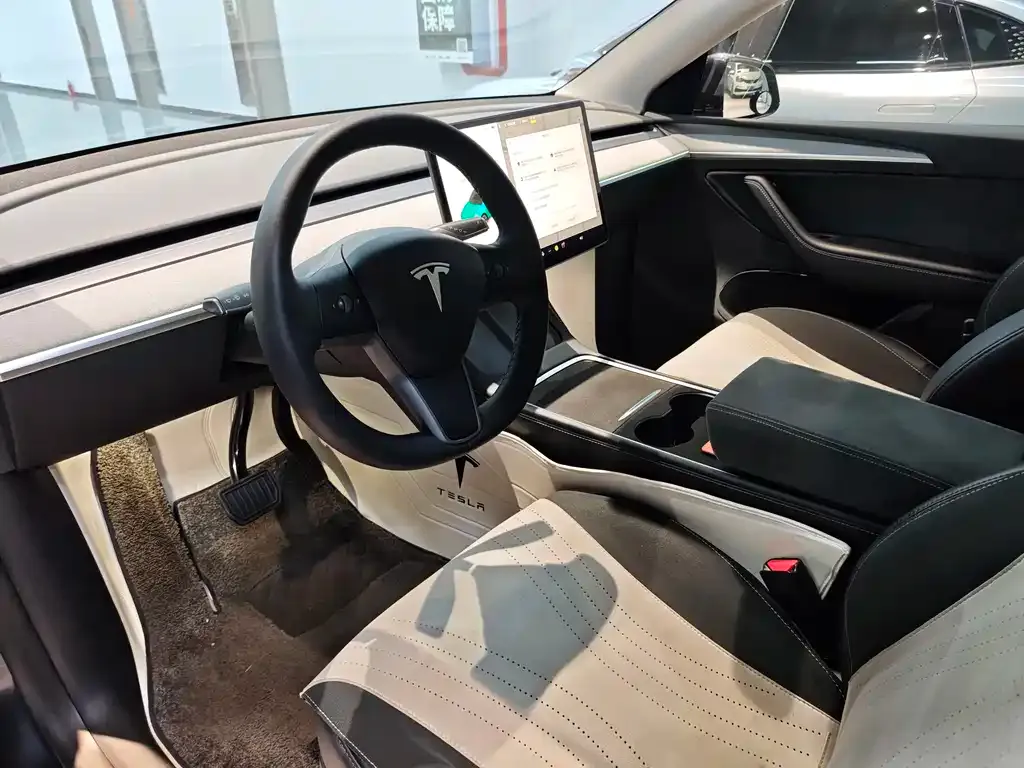 Tesla Model Y 2024 из CN, фото 6