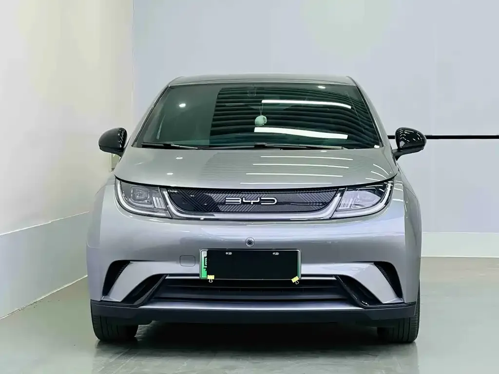 BYD Dolphin 2023 из CN, фото 2