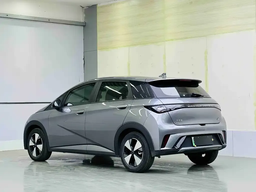 BYD Dolphin 2023 из CN, фото 4