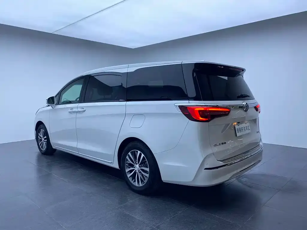 Buick GL8 2023 из CN, фото 6
