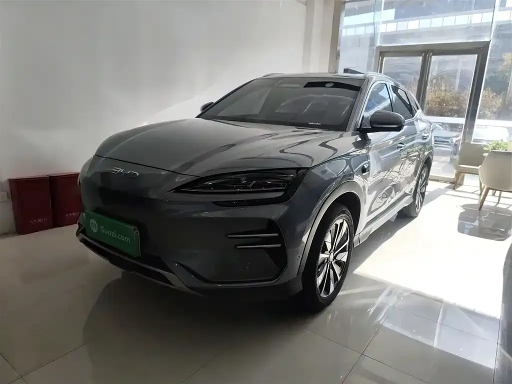 BYD PLUS New Energy — фото 1