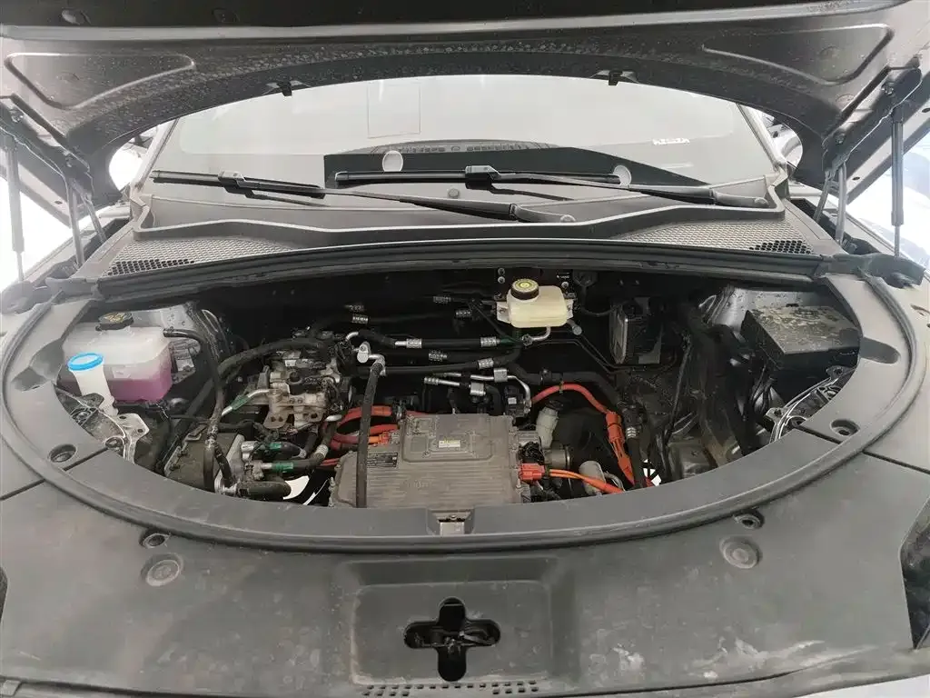 BYD PLUS New Energy — фото 10