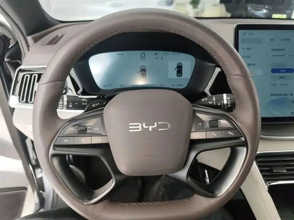 BYD PLUS New Energy — фото 3