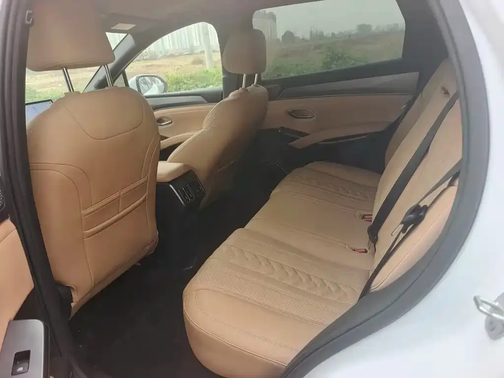 BYD L DM-i 2025 из CN, фото 10