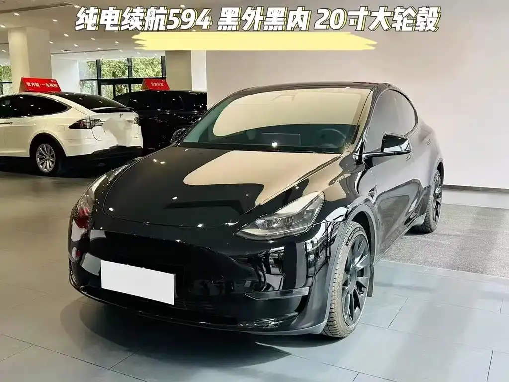 Tesla Model Y 2021 из CN, фото 1