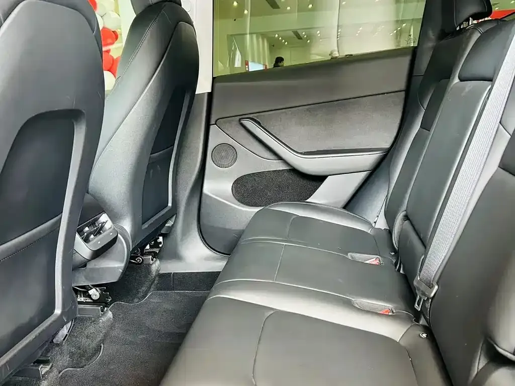 Tesla Model Y 2021 из CN, фото 10