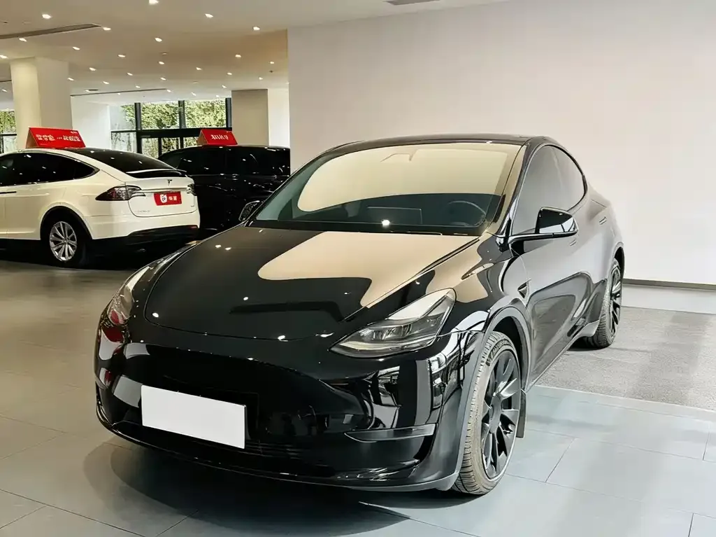 Tesla Model Y 2021 из CN, фото 2