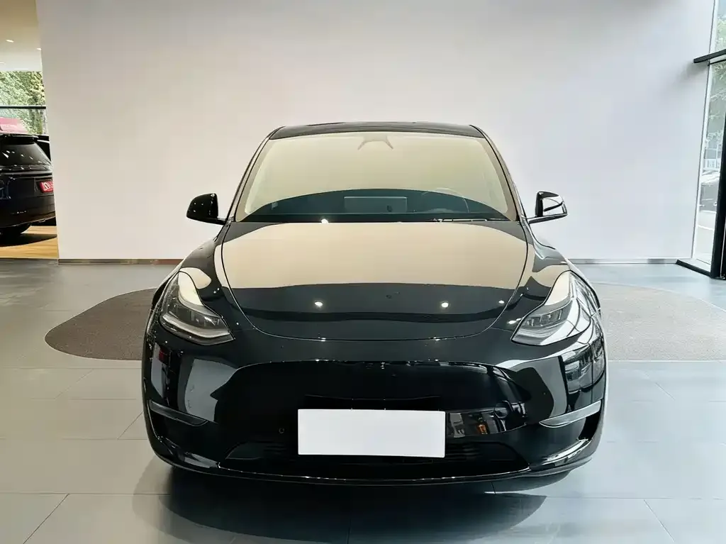 Tesla Model Y 2021 из CN, фото 3