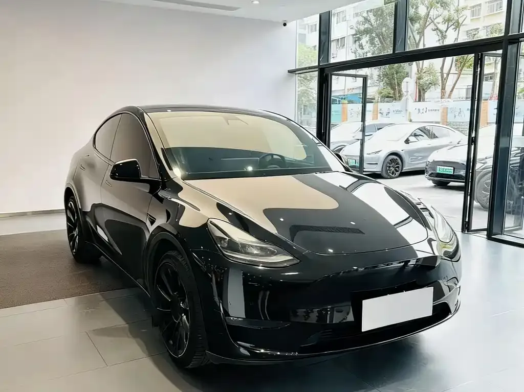 Tesla Model Y 2021 из CN, фото 4