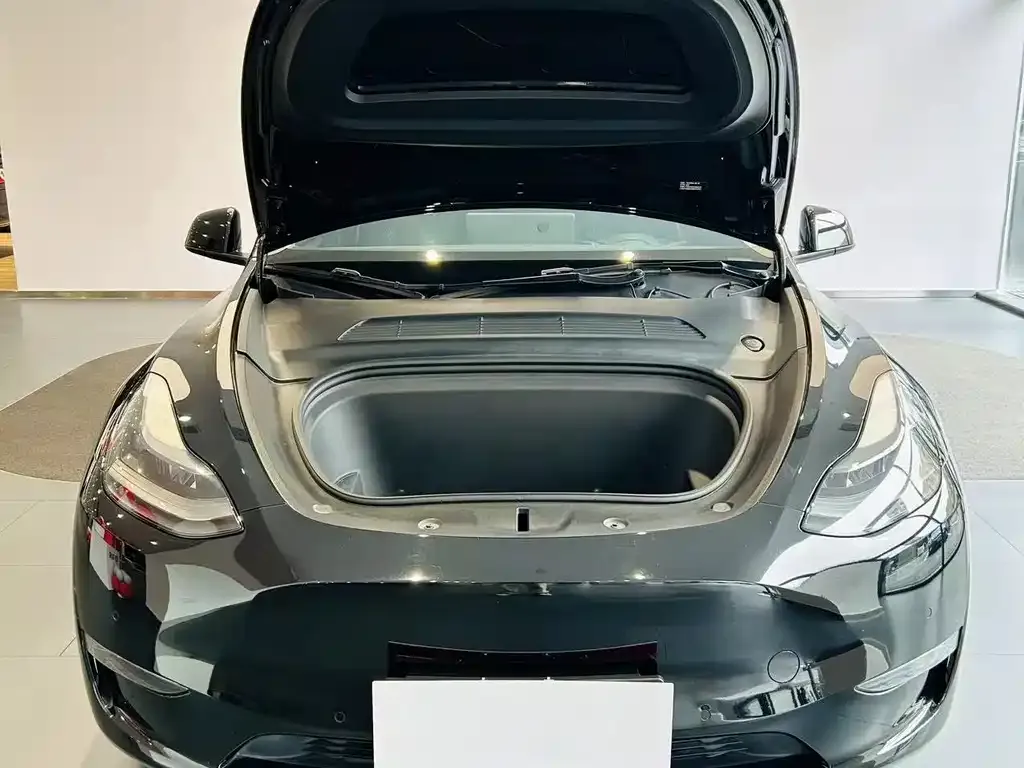 Tesla Model Y 2021 из CN, фото 5
