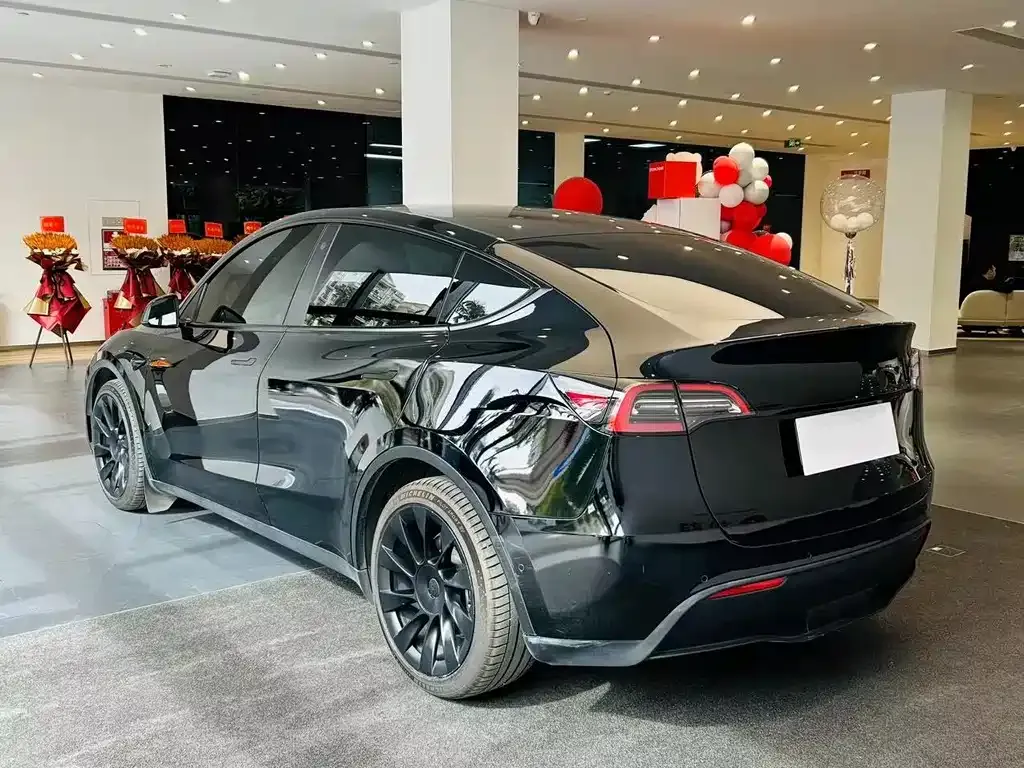 Tesla Model Y 2021 из CN, фото 6
