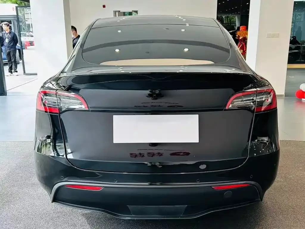 Tesla Model Y 2021 из CN, фото 7