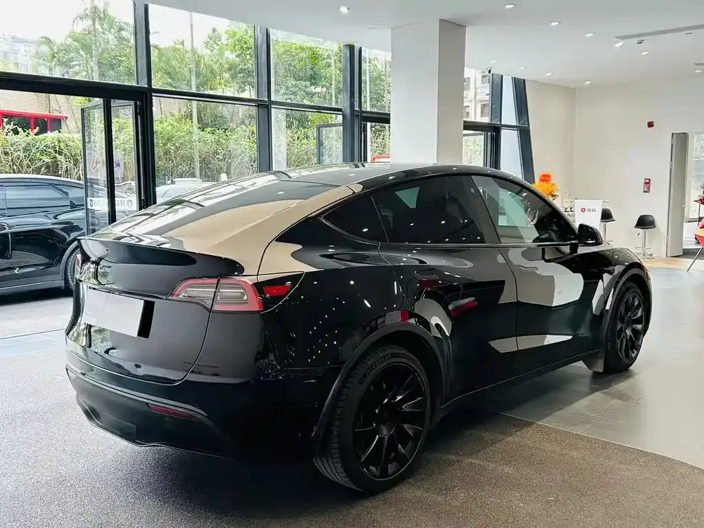 Tesla Model Y 2021 из CN, фото 8