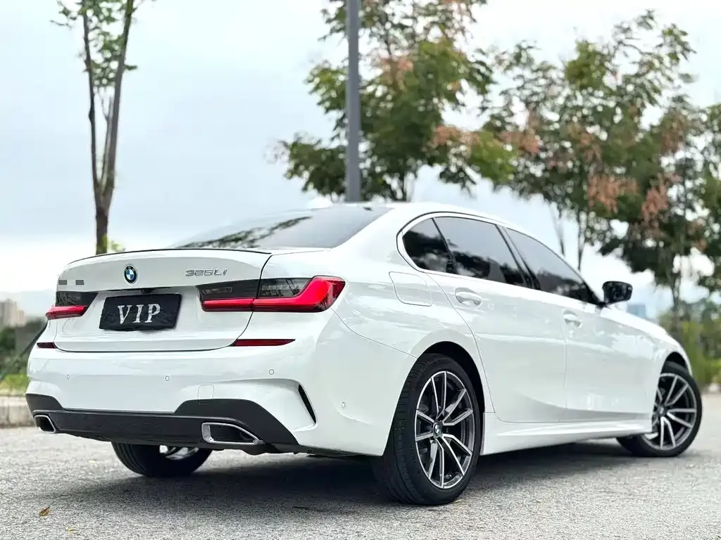 BMW 3 Series 2021 из CN, фото 9