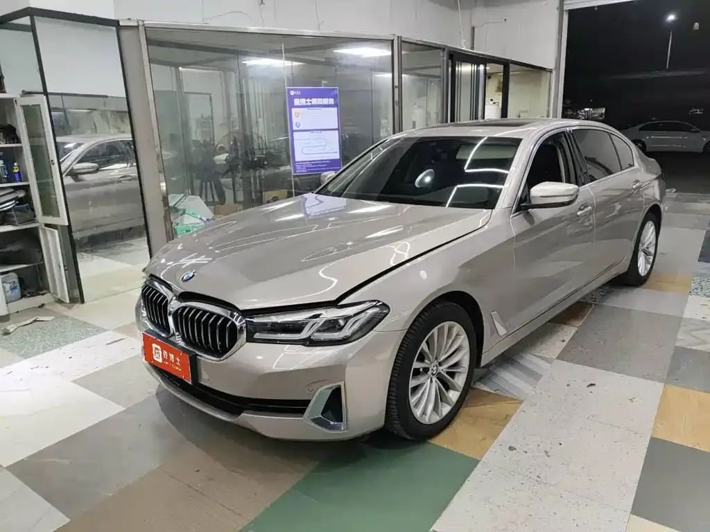 BMW 5 Series 2021 из CN, фото 1