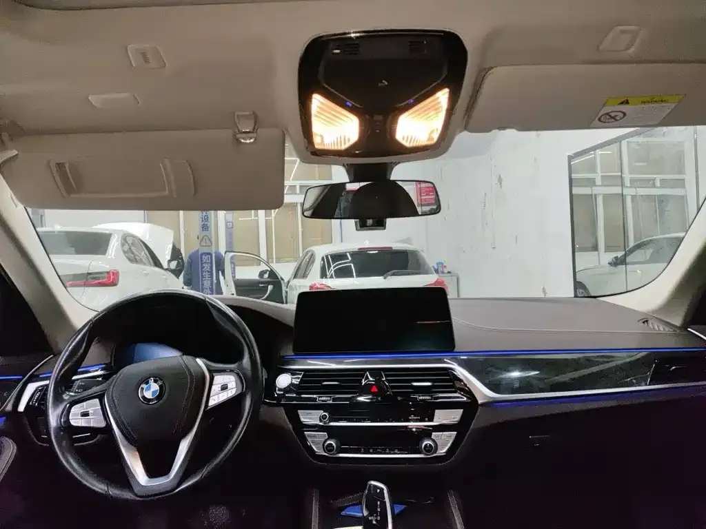 BMW 5 Series 2021 из CN, фото 3
