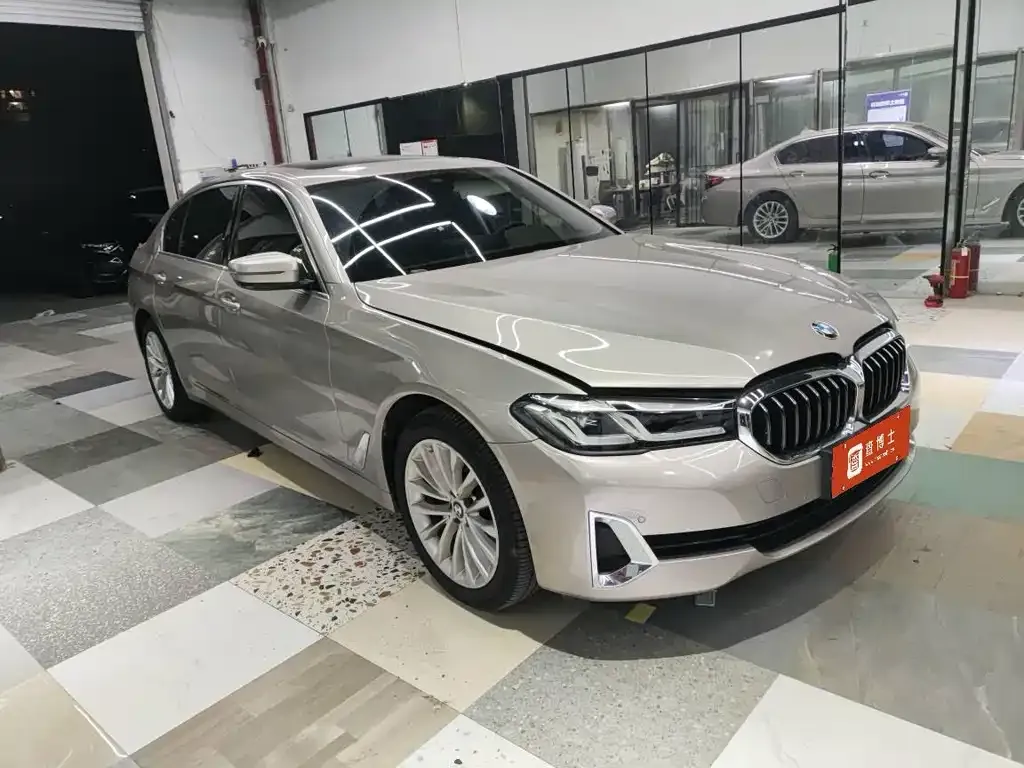 BMW 5 Series 2021 из CN, фото 4