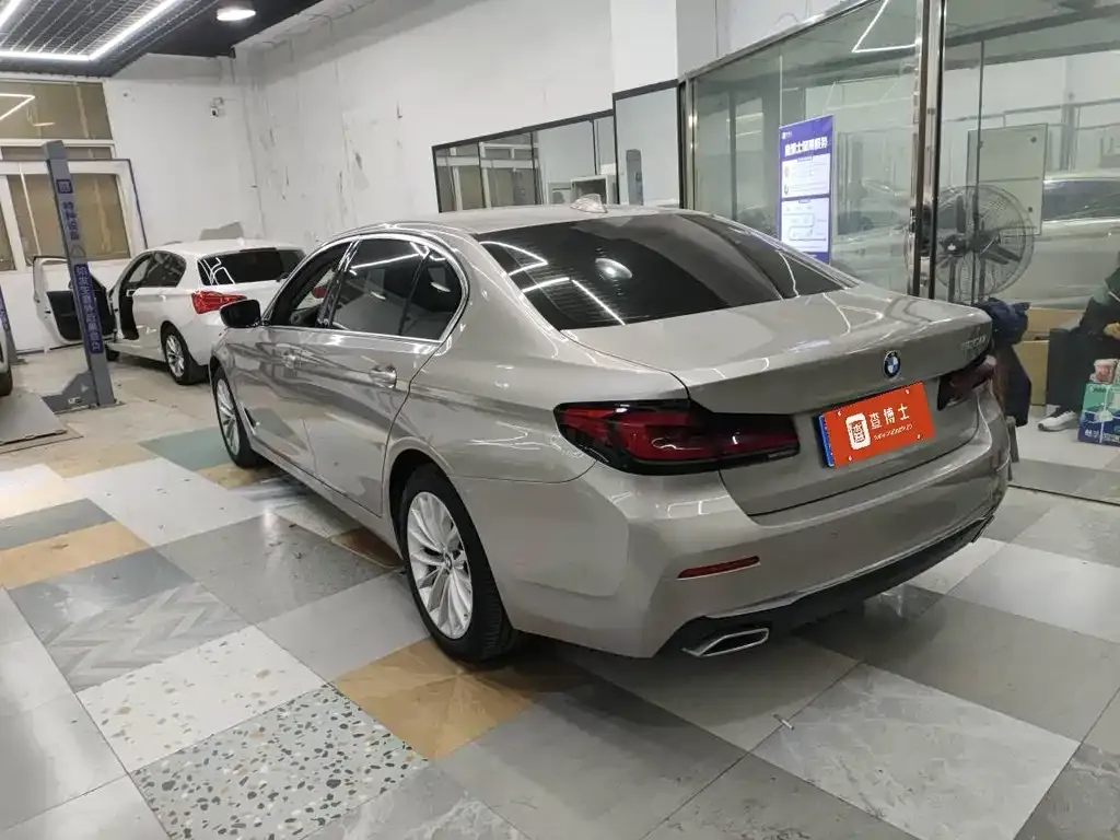 BMW 5 Series 2021 из CN, фото 6
