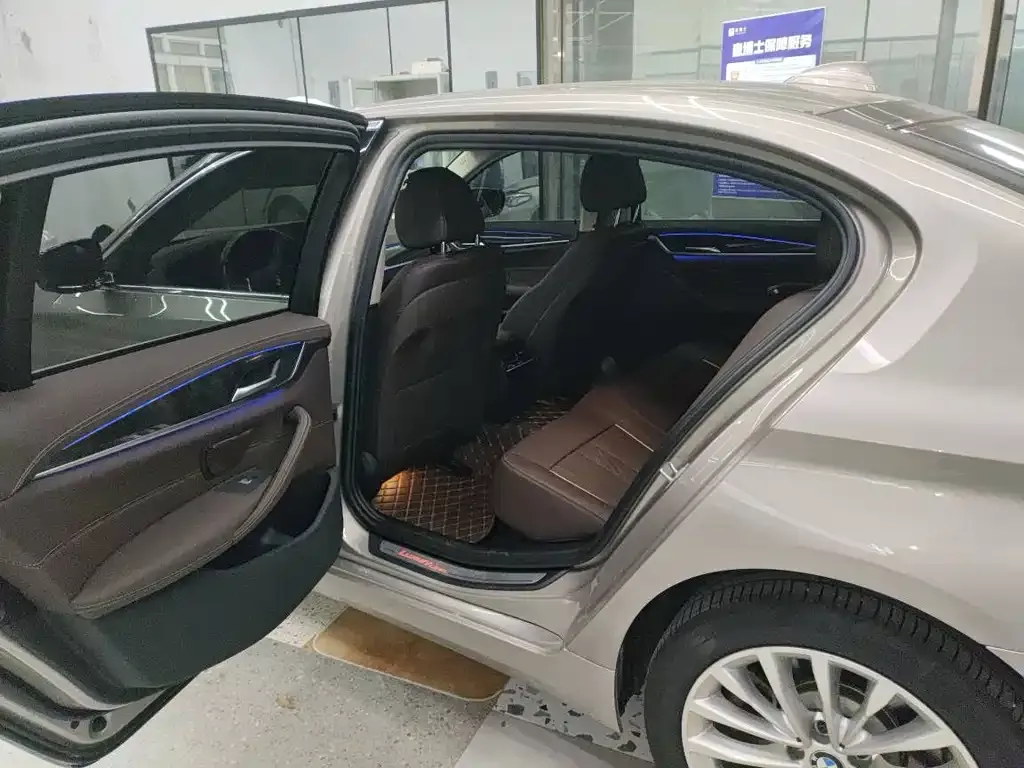 BMW 5 Series 2021 из CN, фото 8