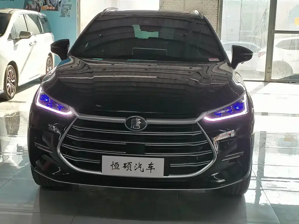 BYD Tang New Energy — фото 2