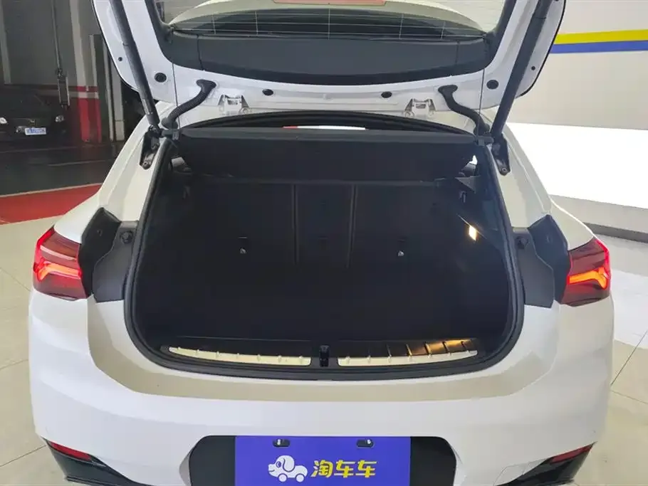 BMW X2 2022 из CN, фото 4