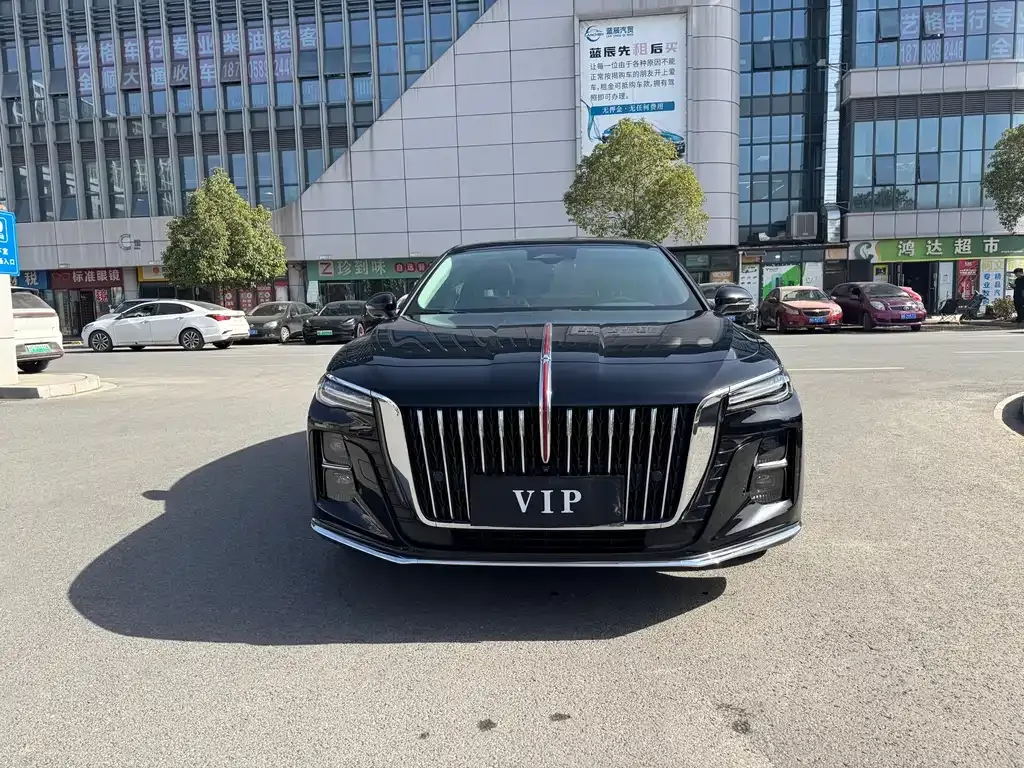 Hongqi H5 2023 из CN, фото 3