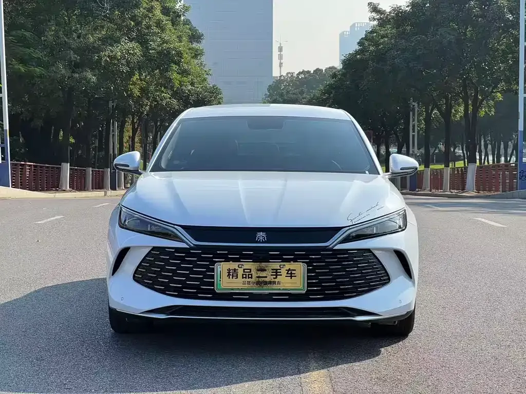 BYD Qin L 2024 из CN, фото 2