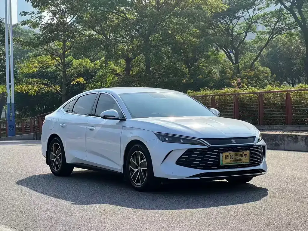 BYD Qin L 2024 из CN, фото 3