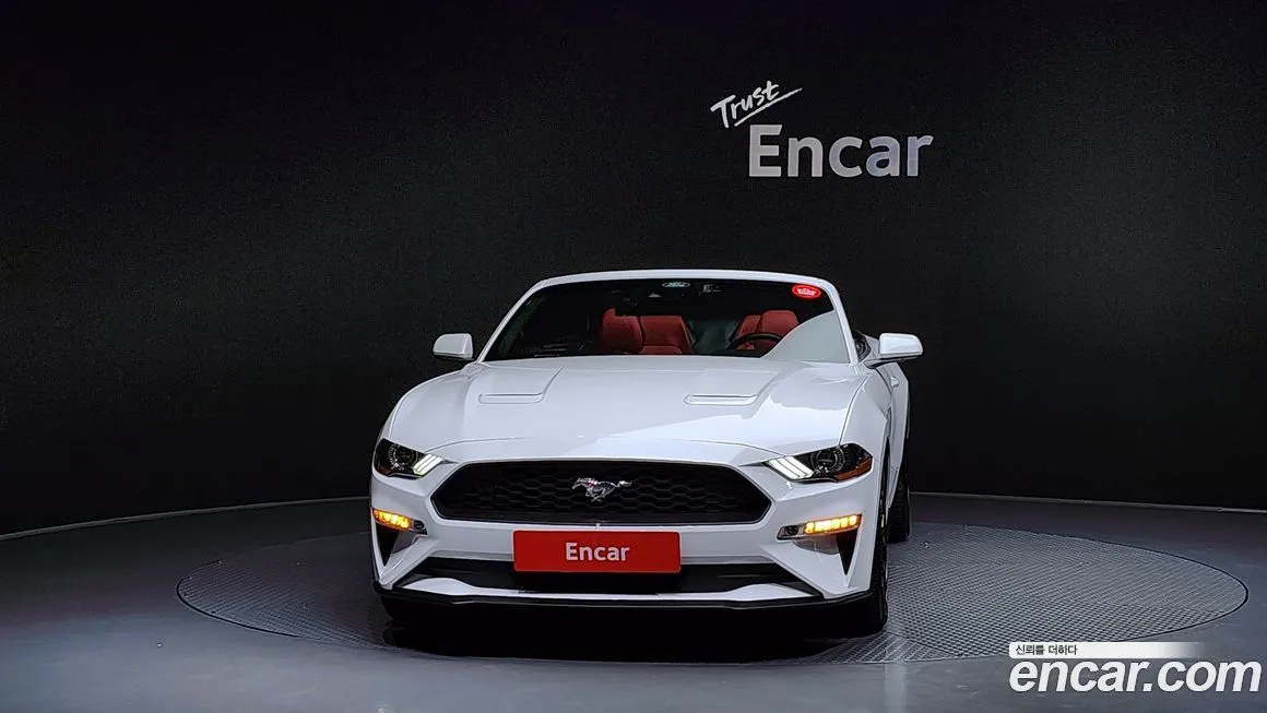 Ford Mustang 2023 из KR, фото 3