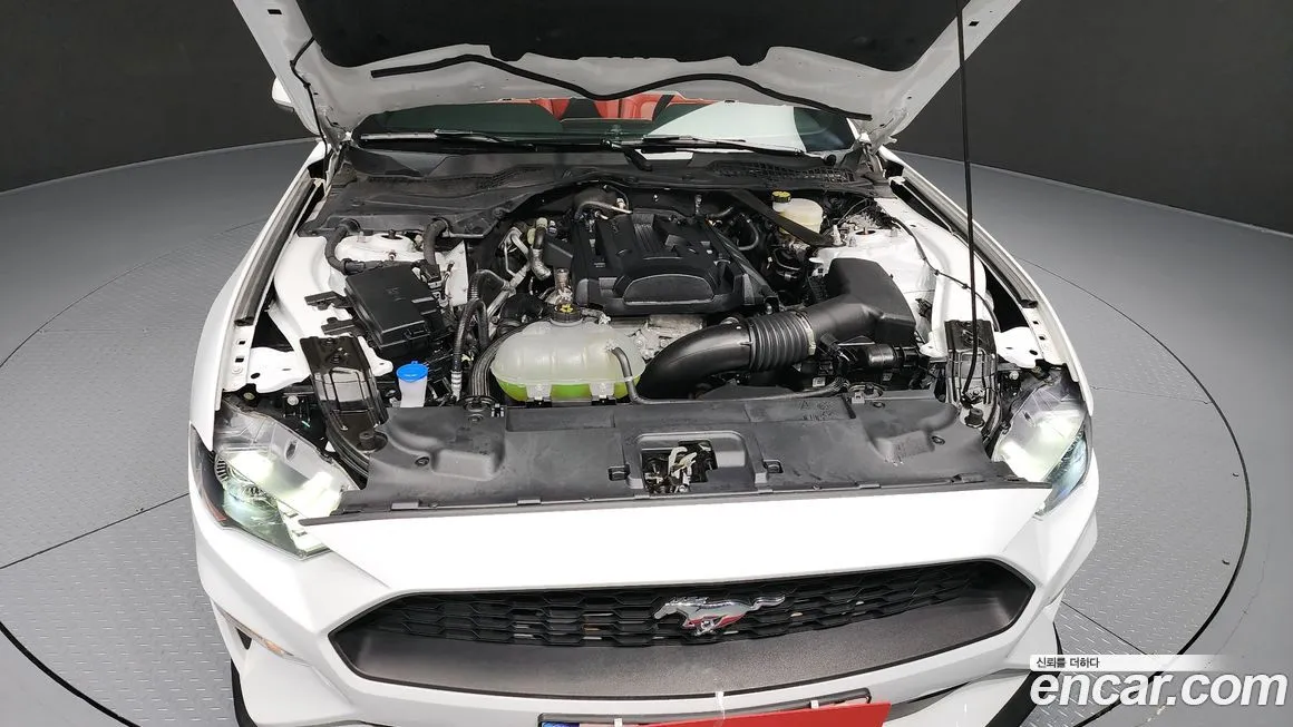 Ford Mustang 2023 из KR, фото 6