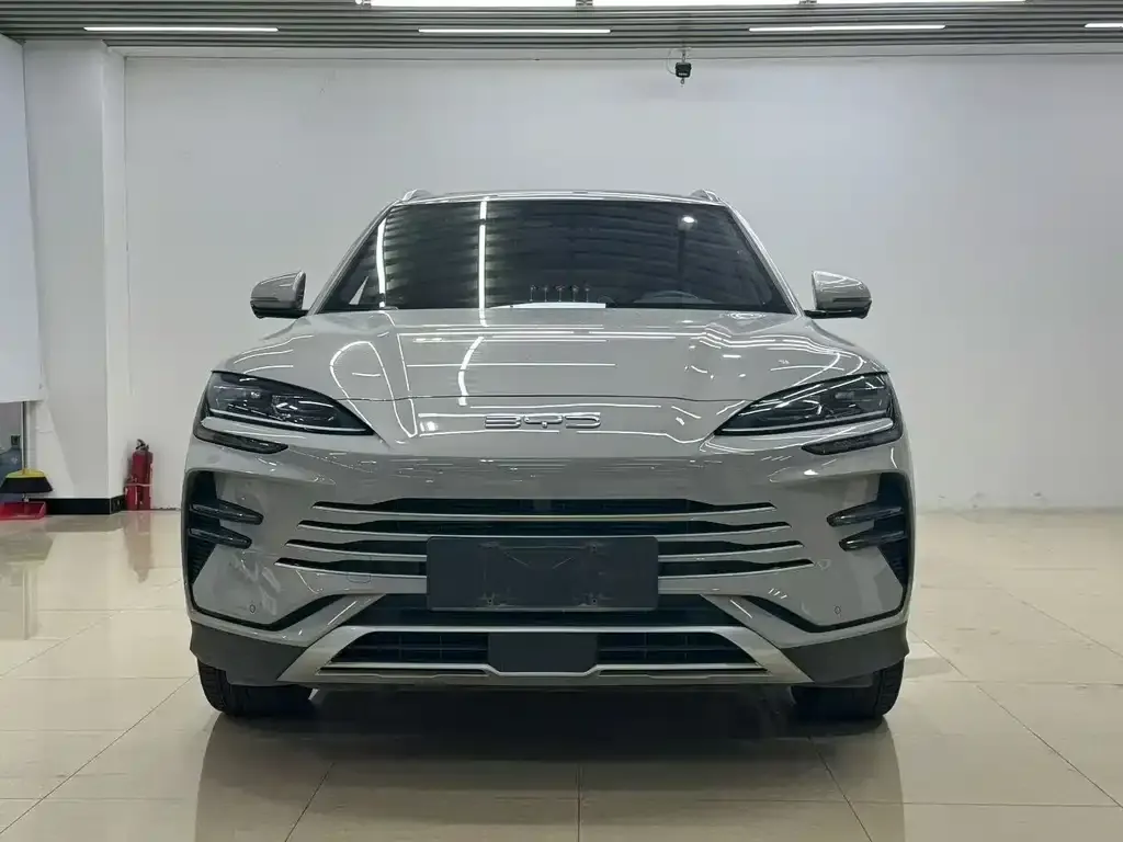 BYD PLUS New Energy 2024 из CN, фото 2