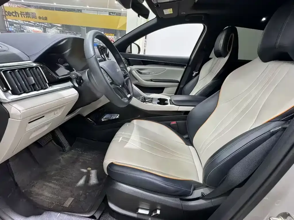BYD PLUS New Energy 2024 из CN, фото 4