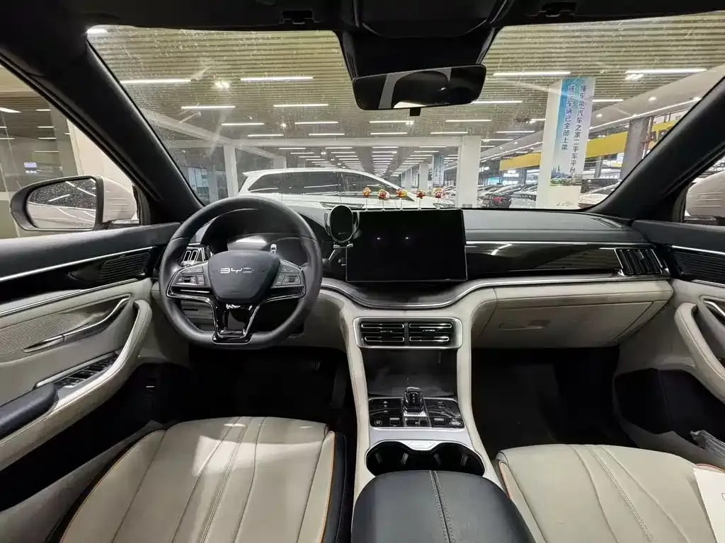 BYD PLUS New Energy 2024 из CN, фото 6