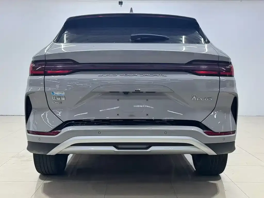 BYD PLUS New Energy 2024 из CN, фото 8