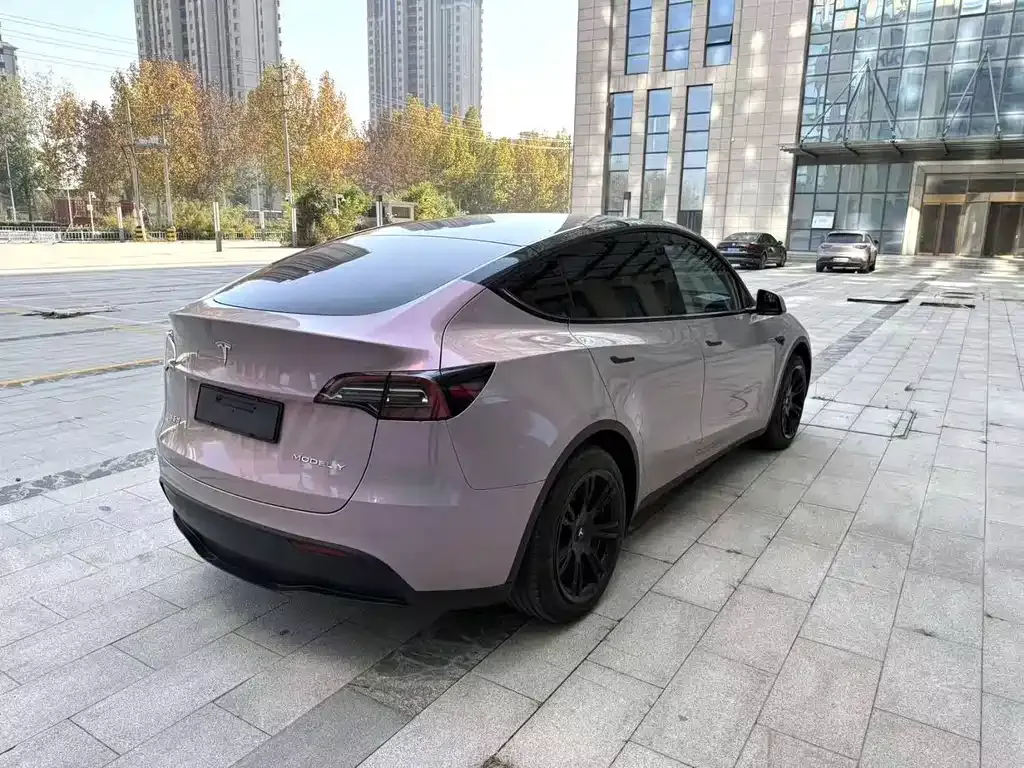 Tesla Model Y 2022 из CN, фото 9
