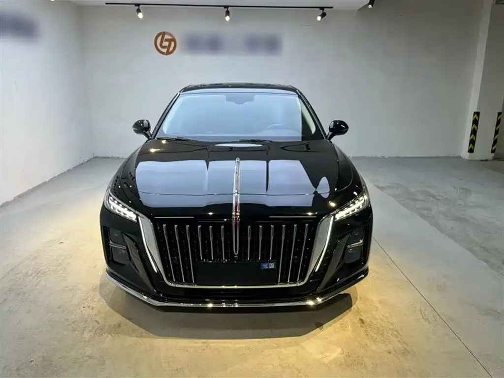 Hongqi H5 2024 из CN, фото 5