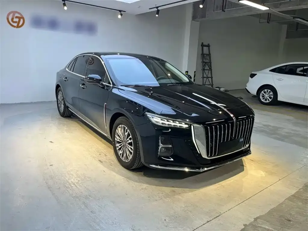 Hongqi H5 2024 из CN, фото 6