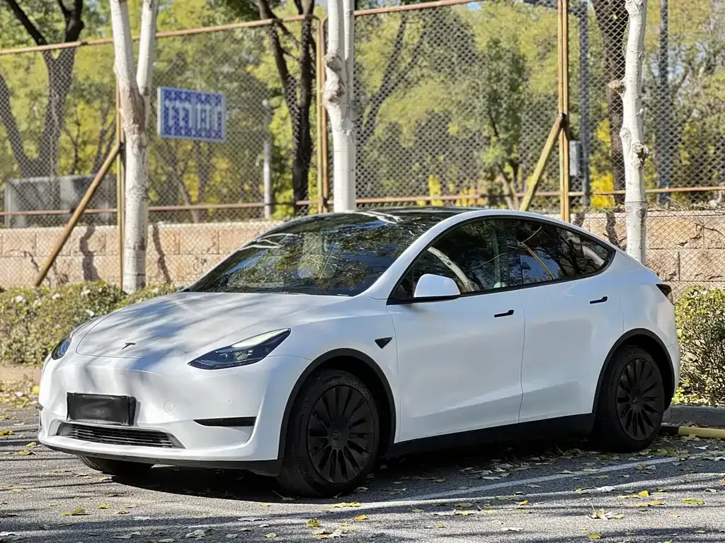 Tesla Model Y — фото 1