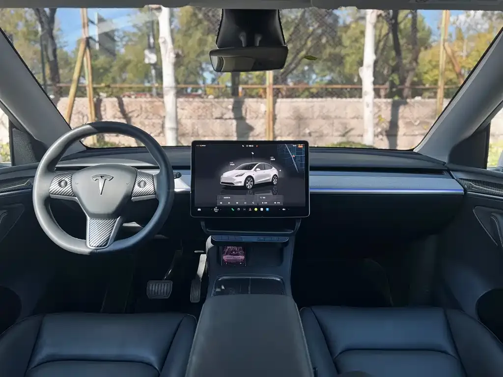 Tesla Model Y — фото 10