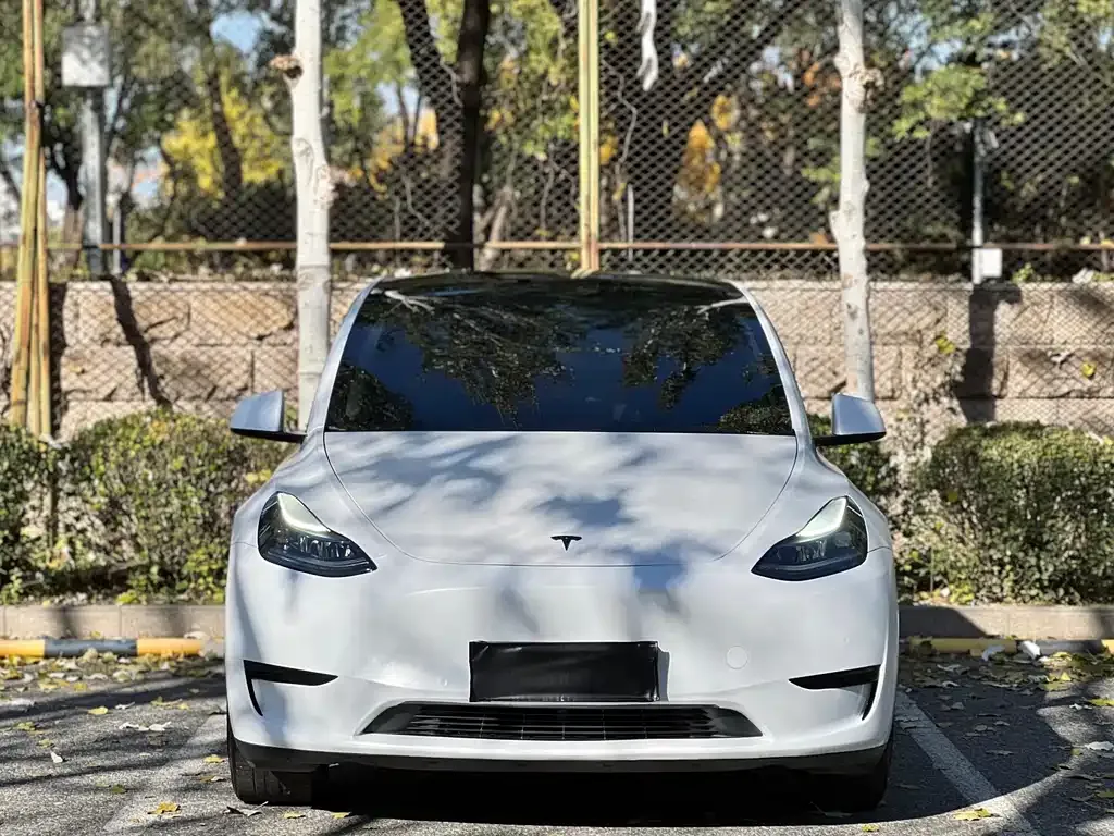 Tesla Model Y — фото 2