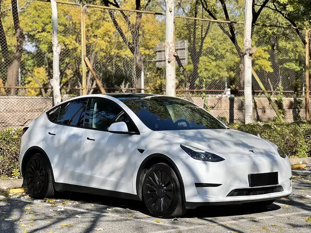 Tesla Model Y — фото 3