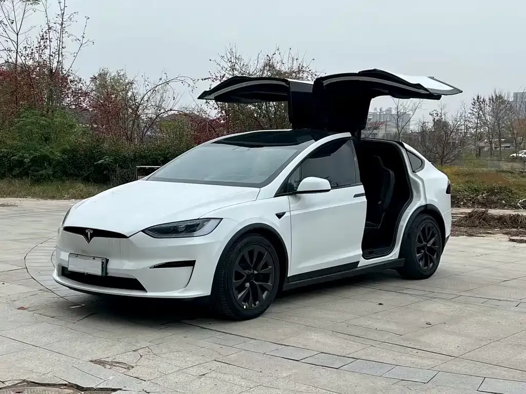 Tesla Model X 2023 из CN, фото 2
